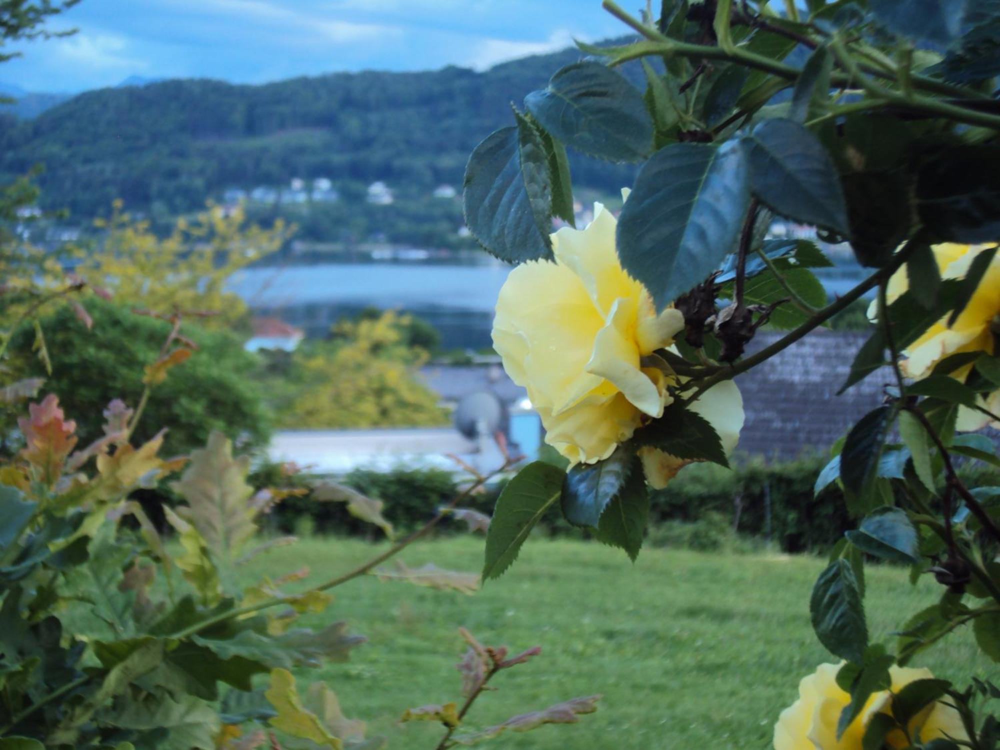 Bed and Breakfast St. Oswalderhof Pörtschach am Wörthersee Exterior foto